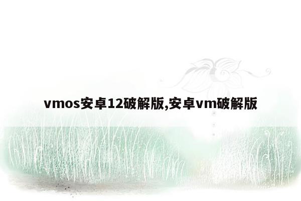 vmos安卓12破解版,安卓vm破解版