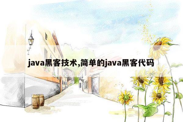 java黑客技术,简单的java黑客代码