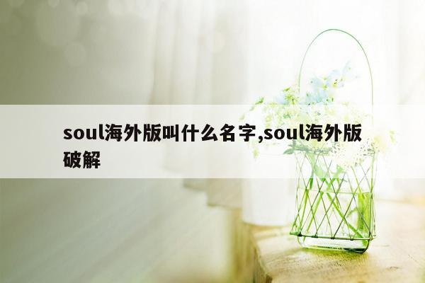 soul海外版叫什么名字,soul海外版破解