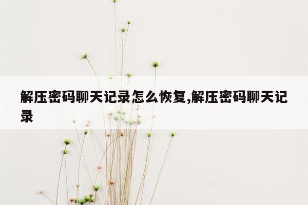 解压密码聊天记录怎么恢复,解压密码聊天记录