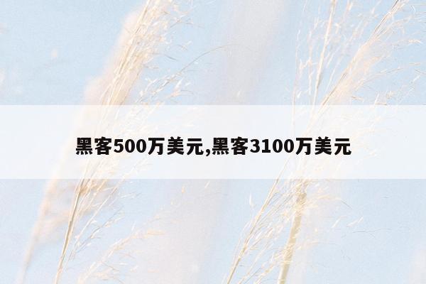 黑客500万美元,黑客3100万美元