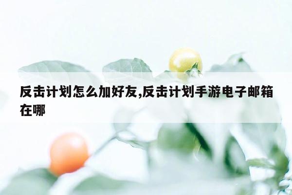 反击计划怎么加好友,反击计划手游电子邮箱在哪