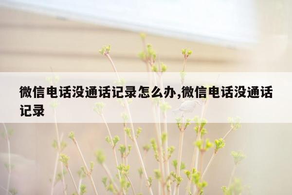 微信电话没通话记录怎么办,微信电话没通话记录