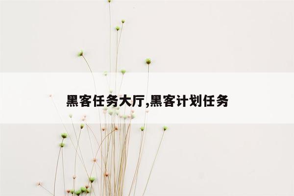 黑客任务大厅,黑客计划任务