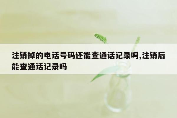 注销掉的电话号码还能查通话记录吗,注销后能查通话记录吗