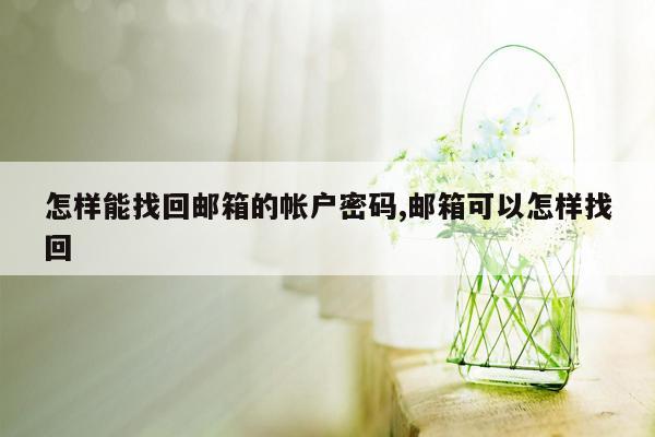 怎样能找回邮箱的帐户密码,邮箱可以怎样找回