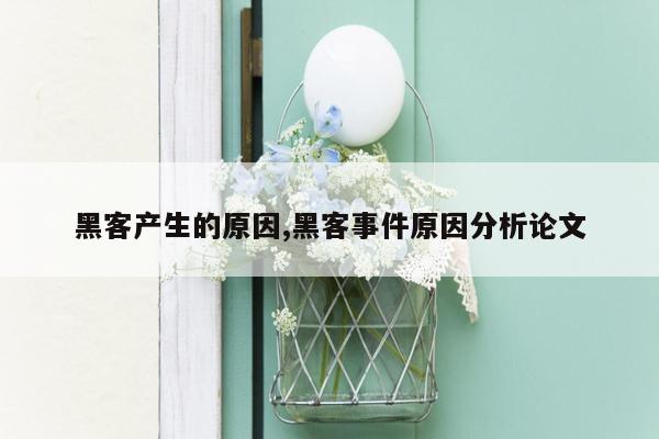 黑客产生的原因,黑客事件原因分析论文