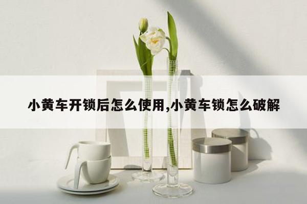 小黄车开锁后怎么使用,小黄车锁怎么破解