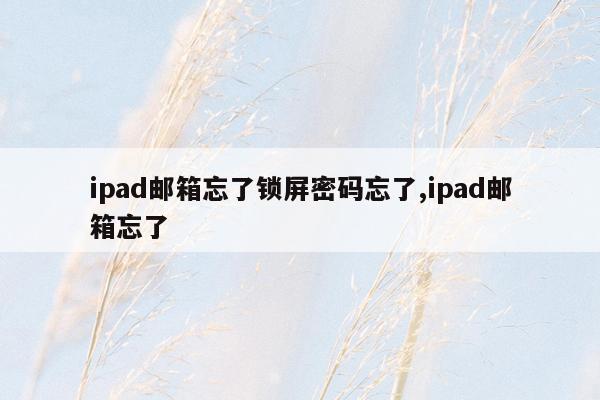 ipad邮箱忘了锁屏密码忘了,ipad邮箱忘了