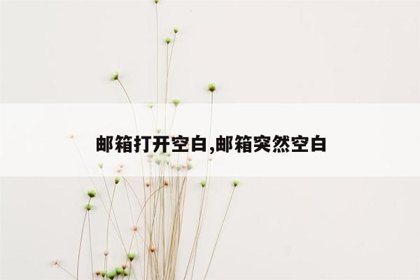 邮箱打开空白,邮箱突然空白