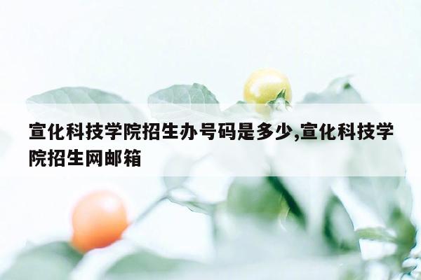 宣化科技学院招生办号码是多少,宣化科技学院招生网邮箱