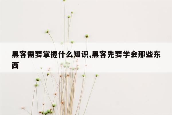 黑客需要掌握什么知识,黑客先要学会那些东西