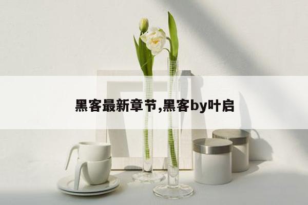 黑客最新章节,黑客by叶启