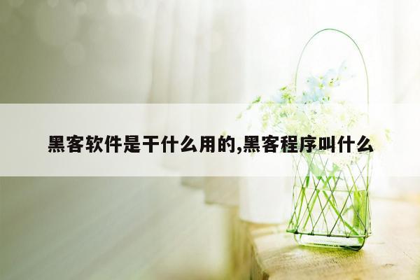 黑客软件是干什么用的,黑客程序叫什么