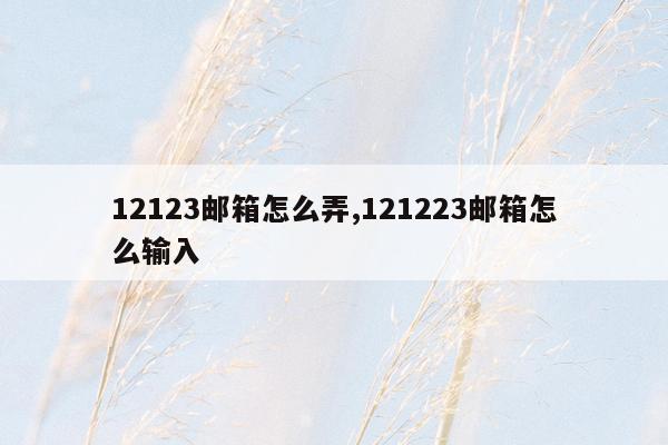 12123邮箱怎么弄,121223邮箱怎么输入