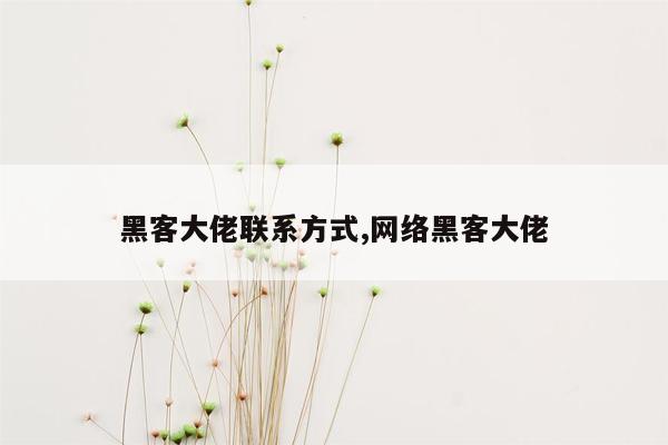 黑客大佬联系方式,网络黑客大佬